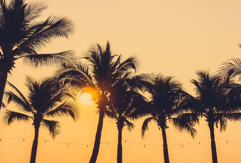 Quarter-Final | Los Angeles | 10 Jul 2026 | Pitchside Lounge